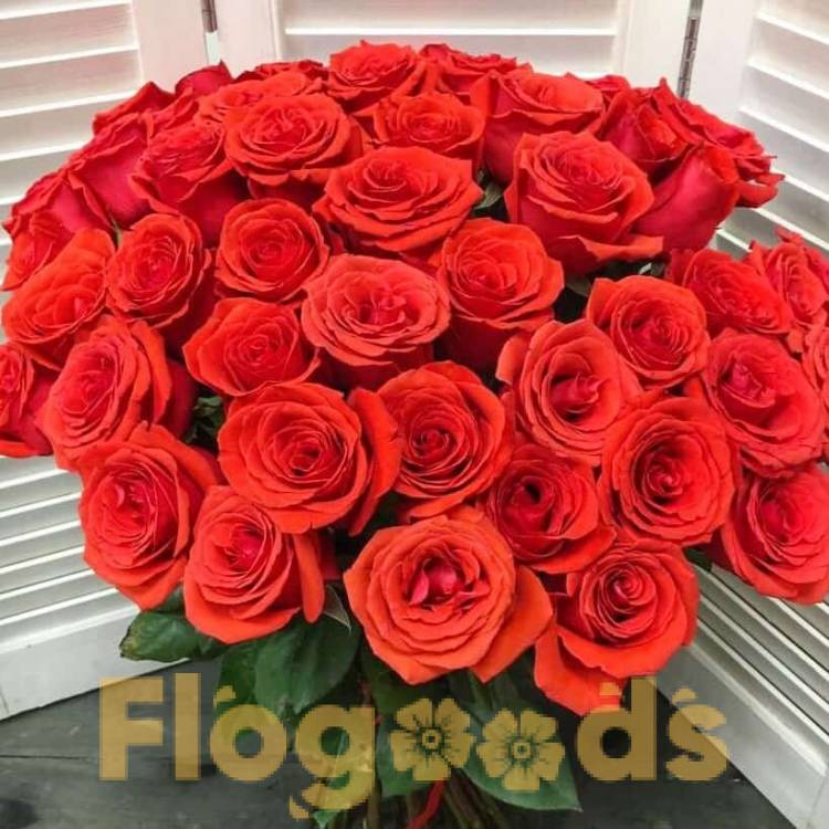 51 красная роза за 19 496 руб.